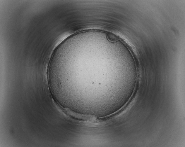 X0000116791137200912311912