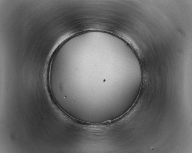 X0000116791138200912311912