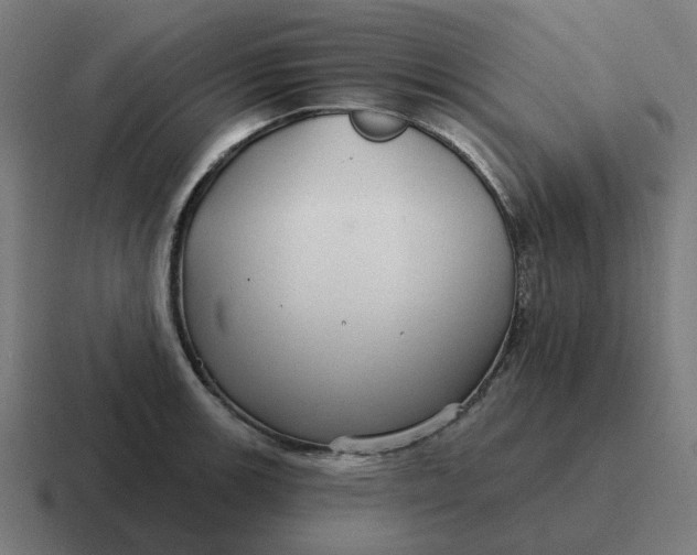 X0000116791139200912311912