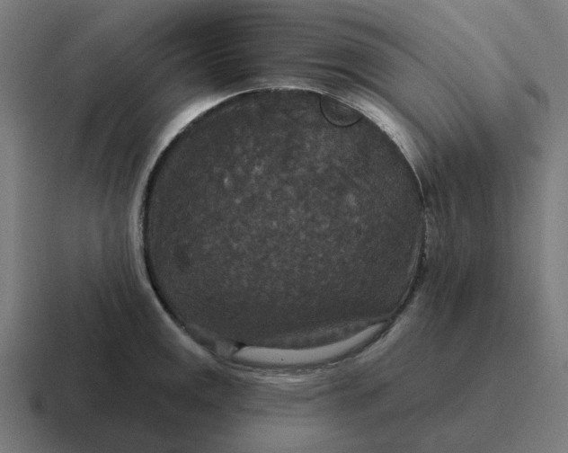 X0000116791141200912311912