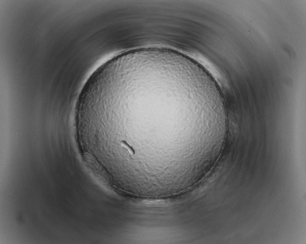 X0000116791142200912311912