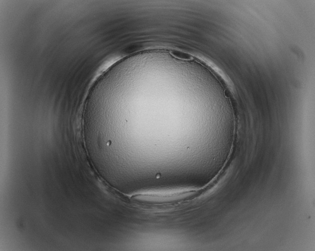 X0000116791145200912311912