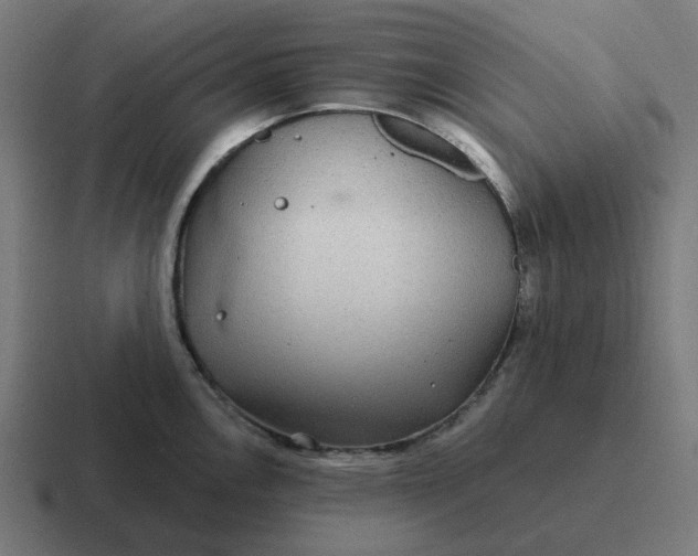 X0000116791146200912311912