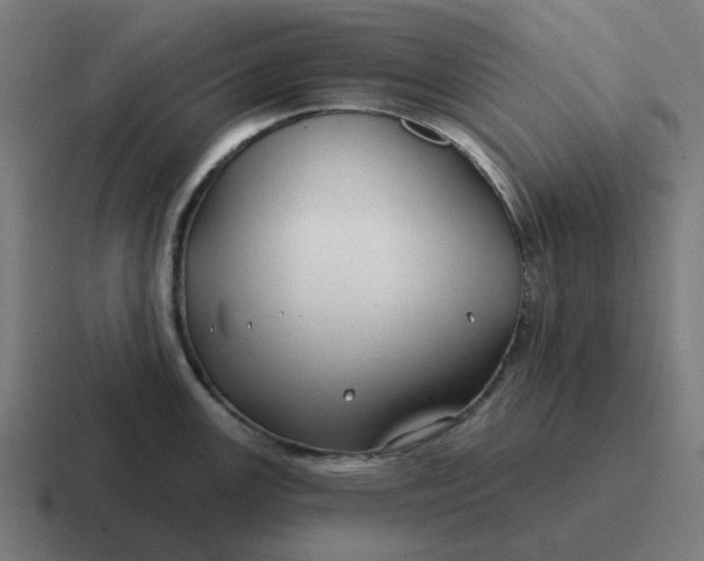 X0000116791147200912311912