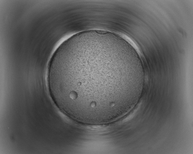 X0000116791149200912311912