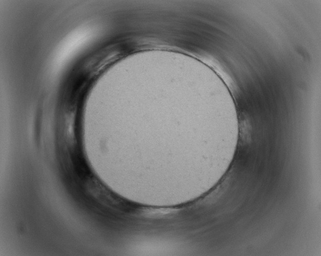 X0000116791150200912311912