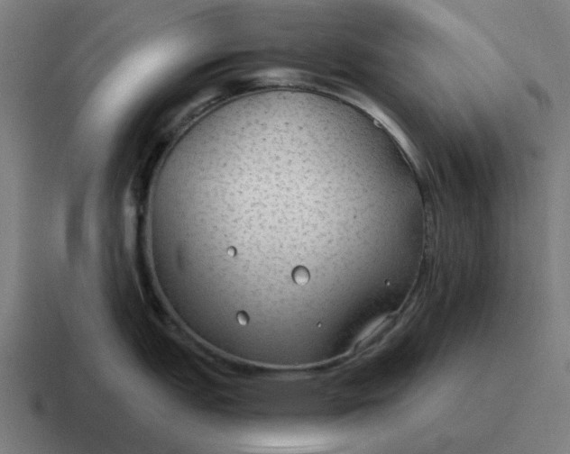 X0000116791151200912311912