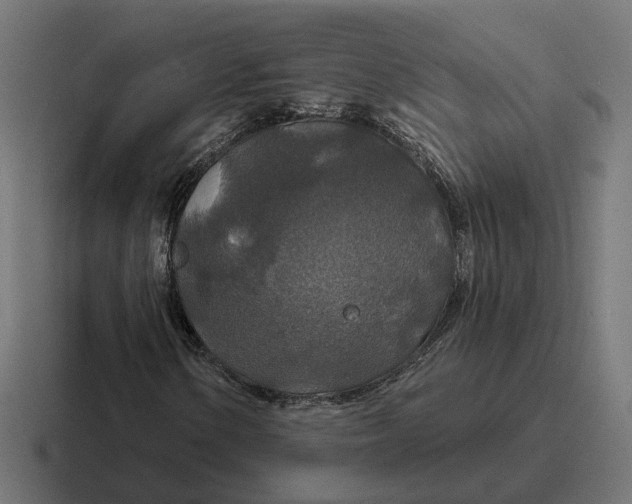 X0000116791154200912311911