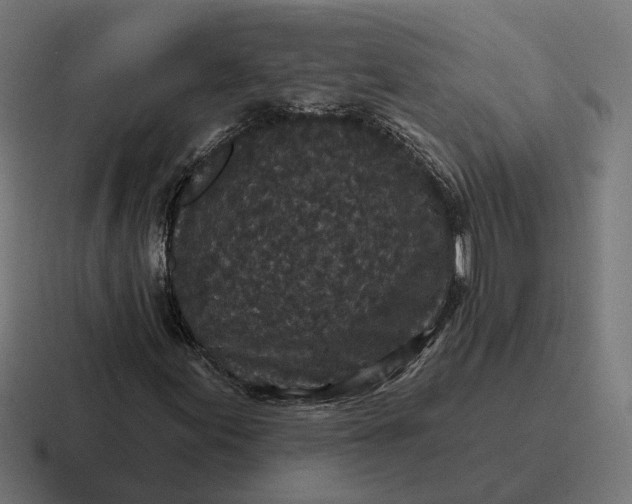 X0000116791155200912311911