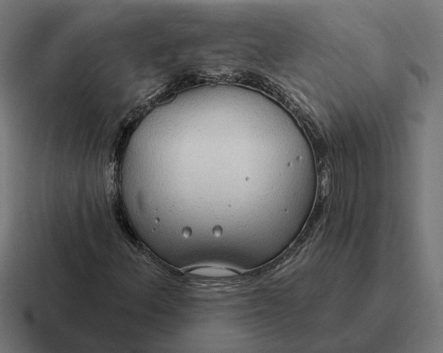 X0000116791156200912311911