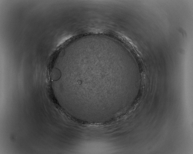 X0000116791158200912311911