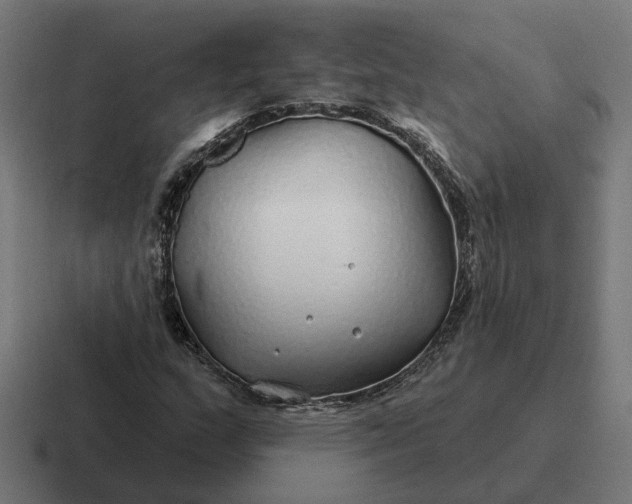 X0000116791159200912311911