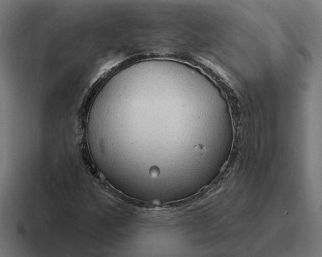 X0000116791160200912311911