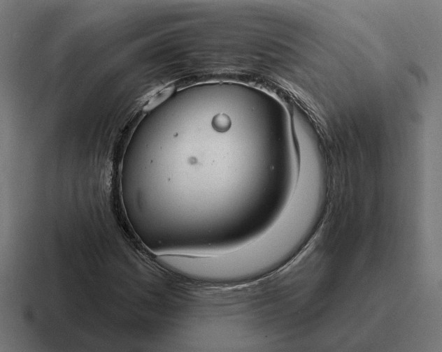 X0000116791161200912311911