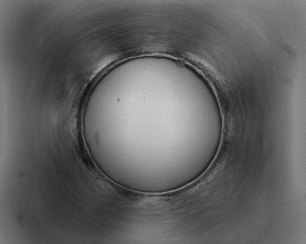 X0000116791162200912311911