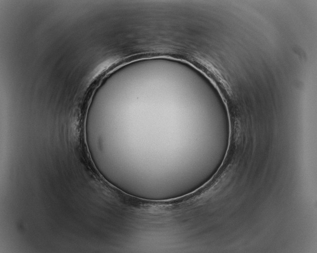 X0000116791163200912311911