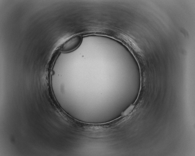 X0000116791164200912311911