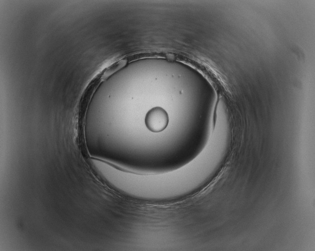 X0000116791165200912311911