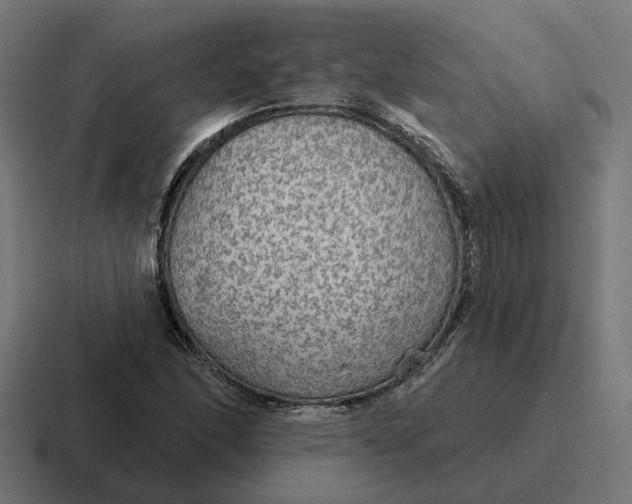 X0000116791166200912311911