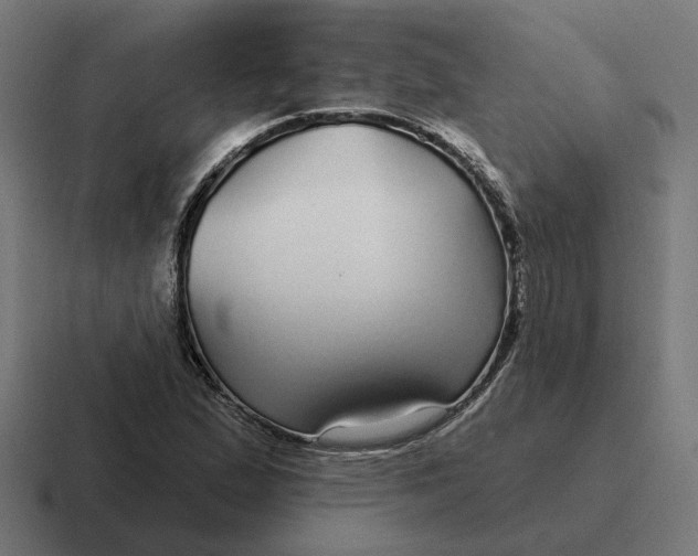 X0000116791167200912311911