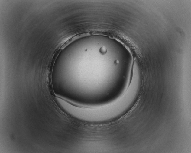 X0000116791169200912311911