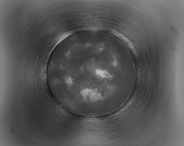 X0000116791170200912311911