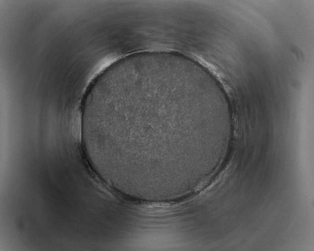 X0000116791171200912311911