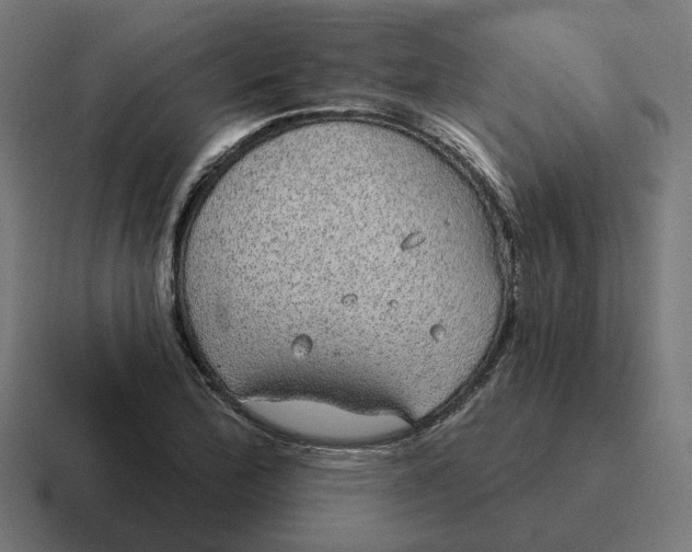 X0000116791172200912311911