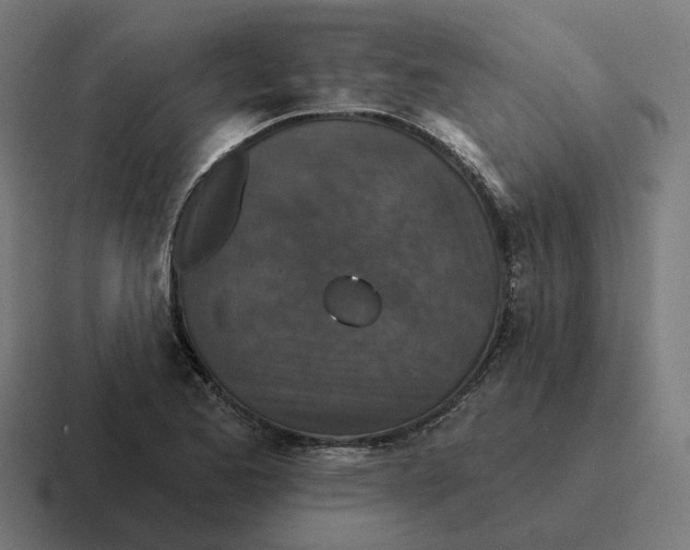 X0000116791173200912311911