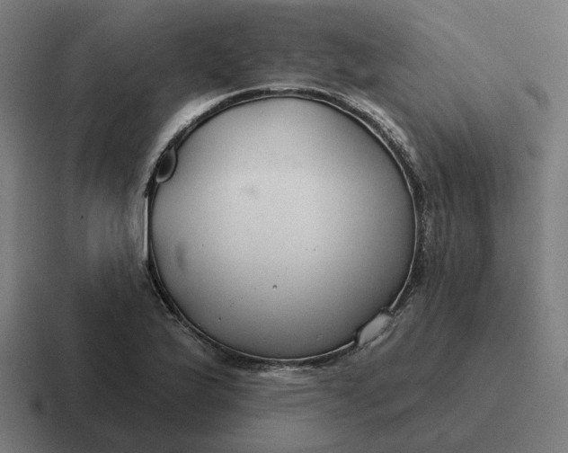 X0000116791175200912311911