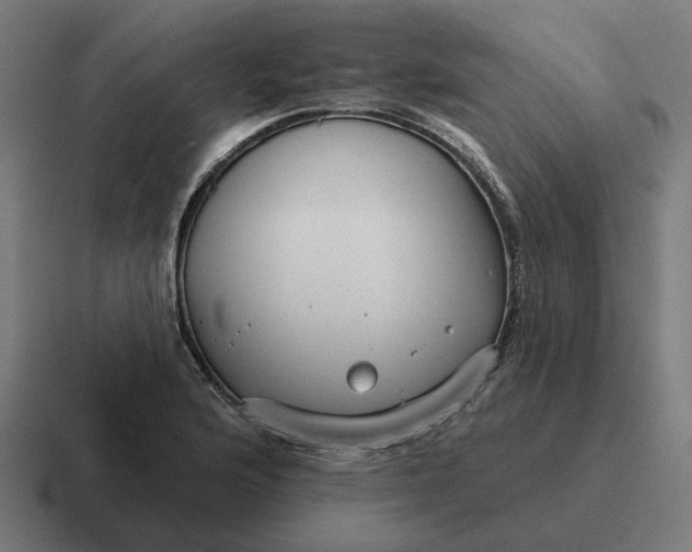 X0000116791176200912311911