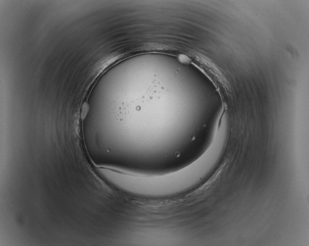 X0000116791177200912311911