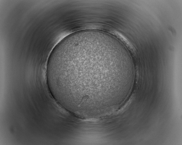 X0000116791178200912311911