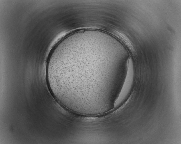 X0000116791180200912311911