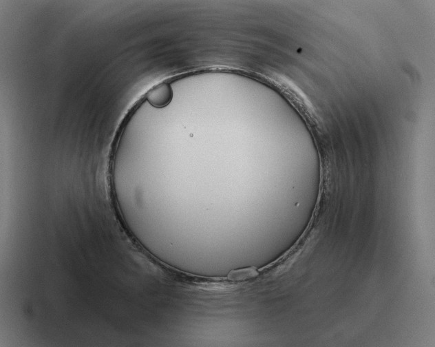 X0000116791182200912311911