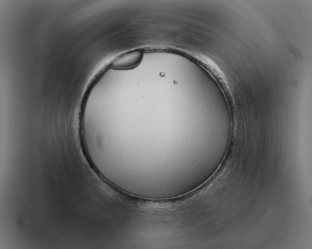 X0000116791183200912311911