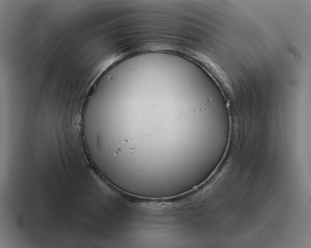 X0000116791185200912311911