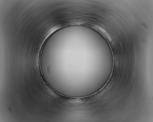 X0000116791186200912311911