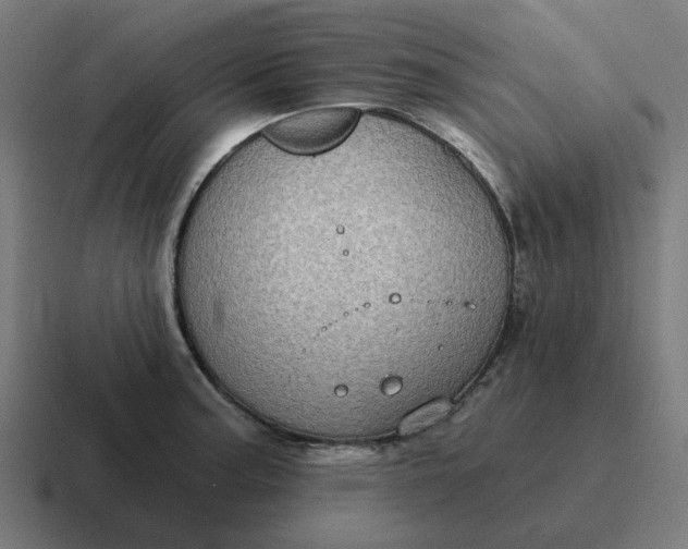 X0000116791187200912311911