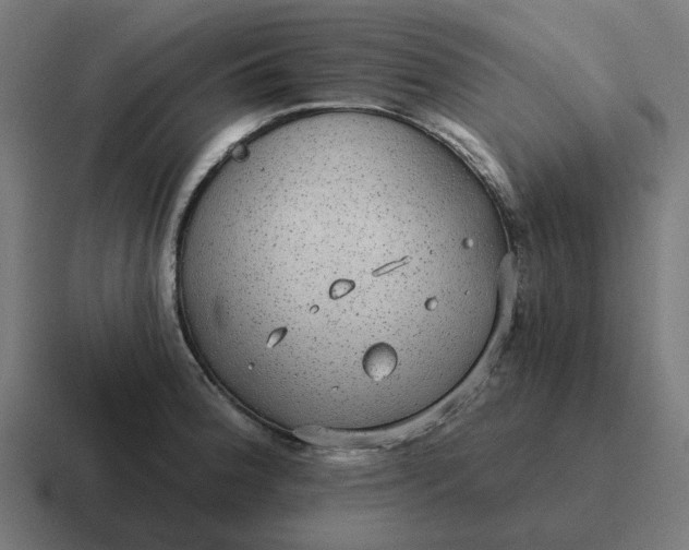 X0000116791188200912311911