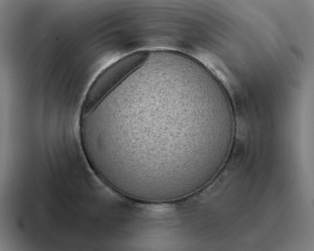 X0000116791189200912311911