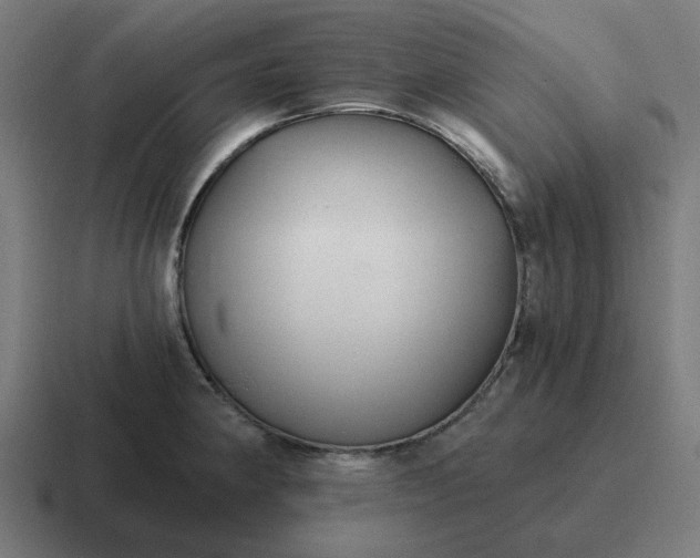 X0000116791190200912311911