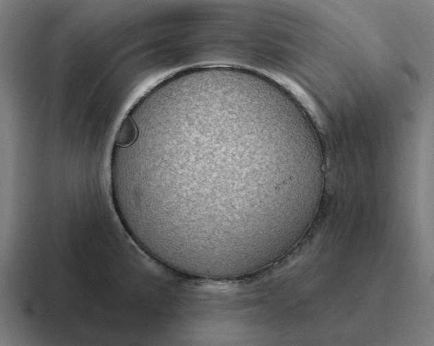 X0000116791191200912311911