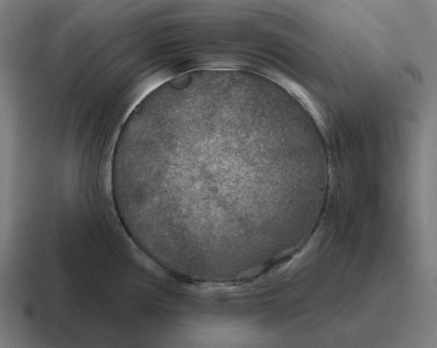 X0000116791194200912311911