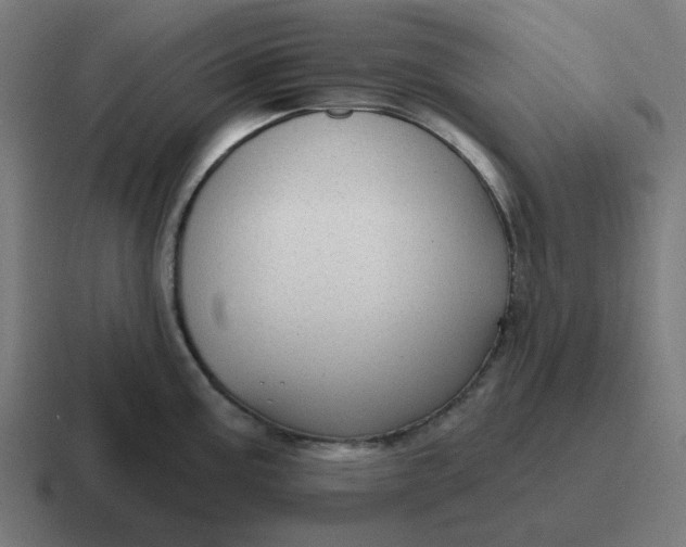 X0000116791195200912311911