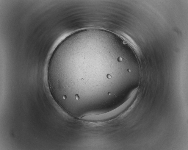 X0000116791196200912311911