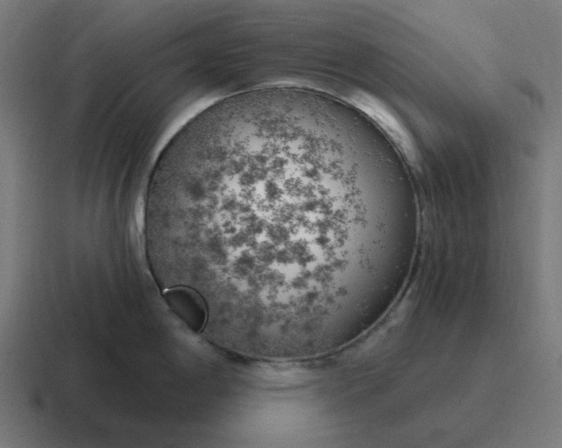 X0000116791198200912311911