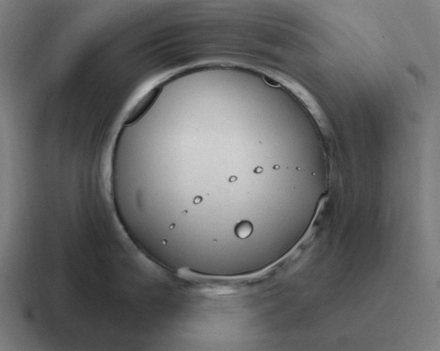 X0000116791199200912311911