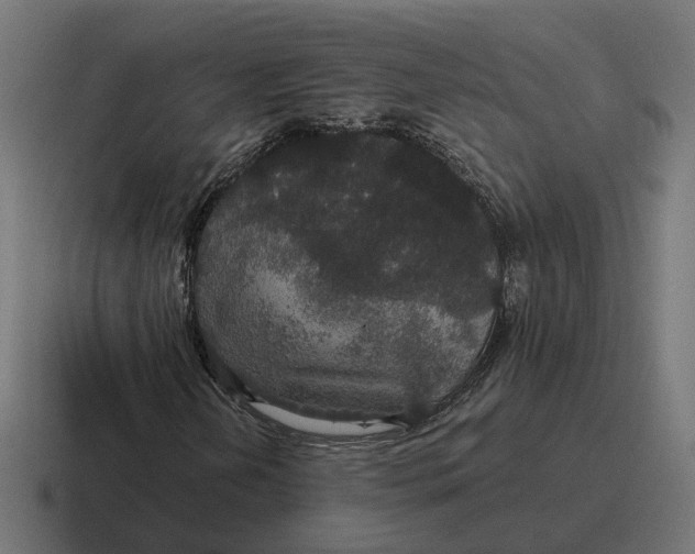 X0000116791202200912311910