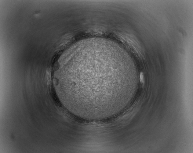 X0000116791203200912311910